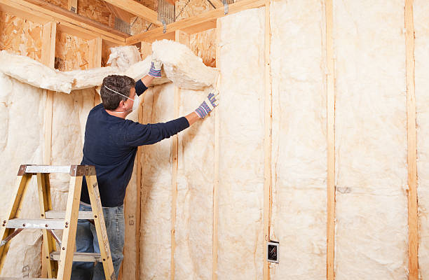 Best Basement Insulation  in Dayton, TX